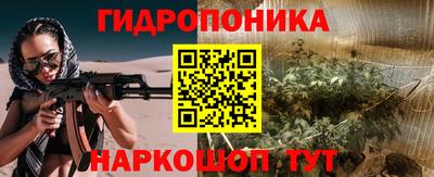 дурь Берёзовский