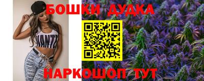 крисы Камень-на-Оби