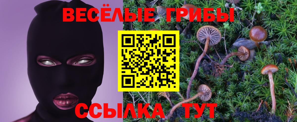 Галлюциногенные грибы прущие грибы Клинцы